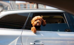 A Place to Park, A Place to Thrive: The Case for Public Parking in the Gaslamp Quarter