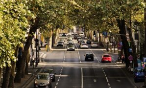 The Great Zoo Park-Off: Why a Simple Parking Strategy Can Make or Break Your Day